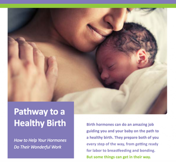 Pathway to a Healthy Birth - Using Consumer Materials from Hormonal  Physiology of Childbearing Report in Your Classes